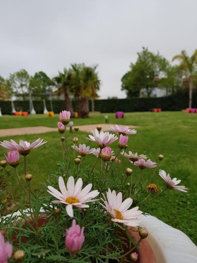 Hotel giardini del Novecento Lamezia Terme Esterno foto
